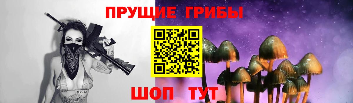 Псилоцибиновые грибы Cubensis  Вход с VPN  Сибай 